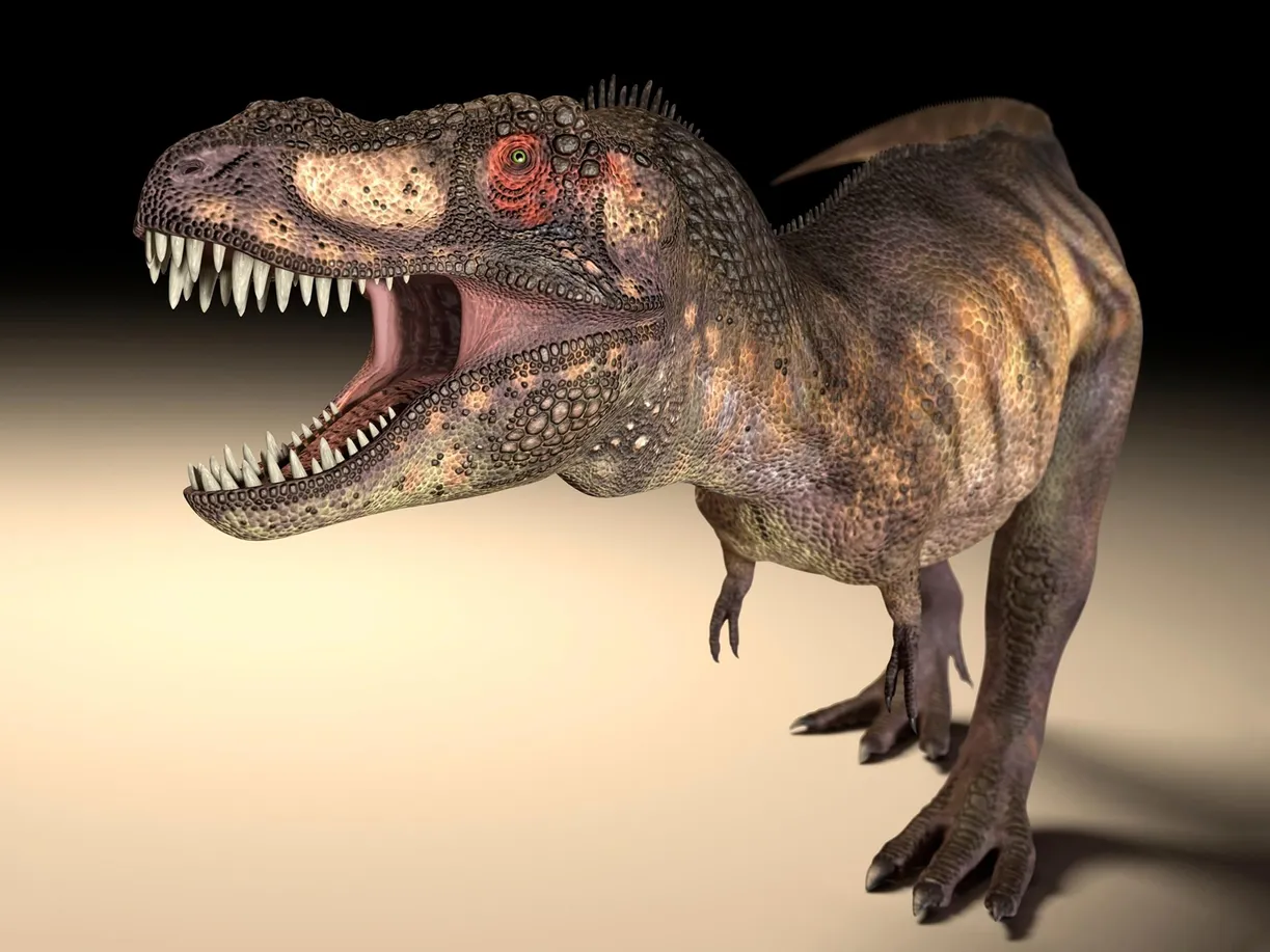 Large predatory dinosaurs, such as T. rex, developed different eye socket shapes to allow for a stronger bite.